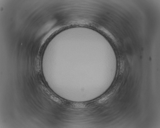 X0000081370878200702020202