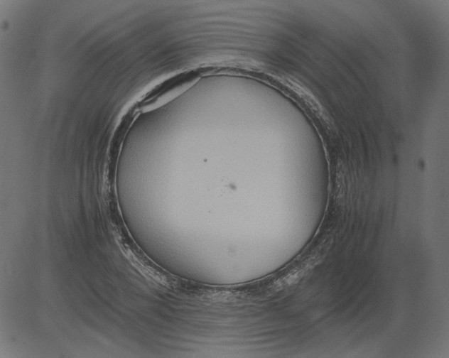 X0000081370880200702020202