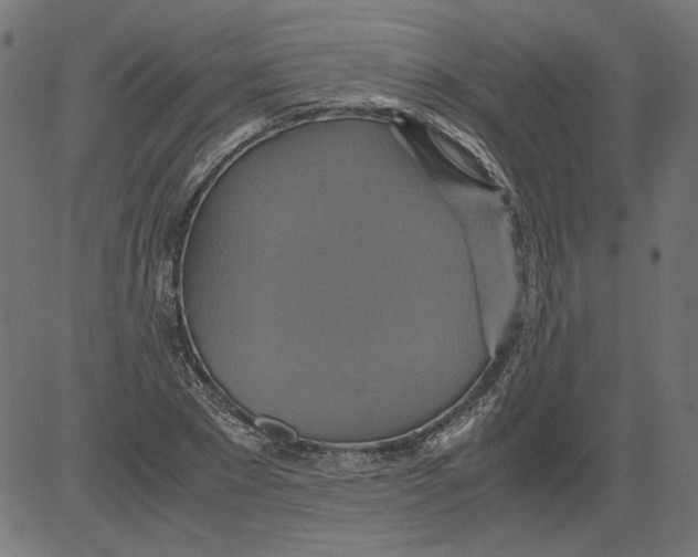 X0000081370881200702020202