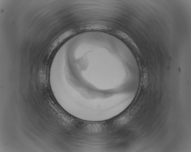 X0000081370882200702020202