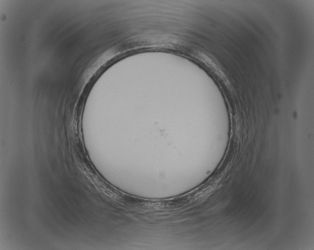 X0000081370883200702020202