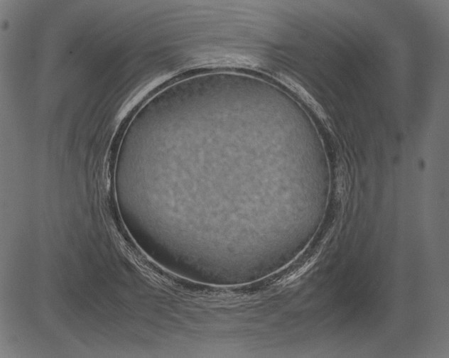 X0000081370885200702020202