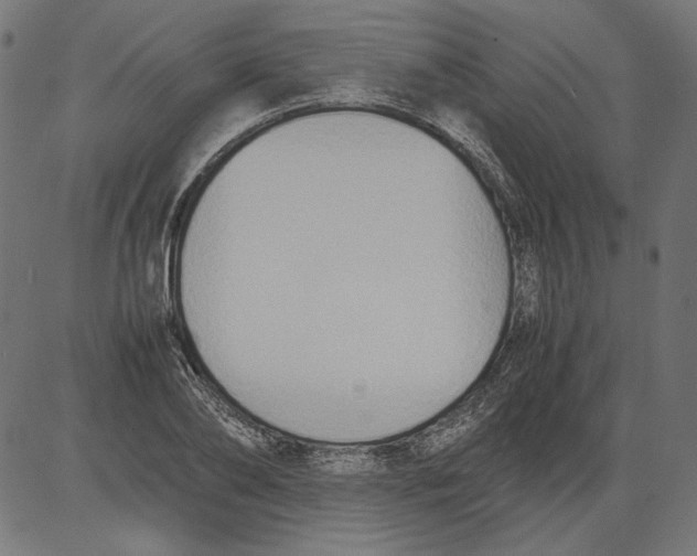 X0000081370886200702020202