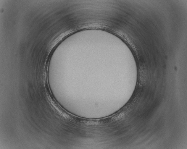 X0000081370890200702020202