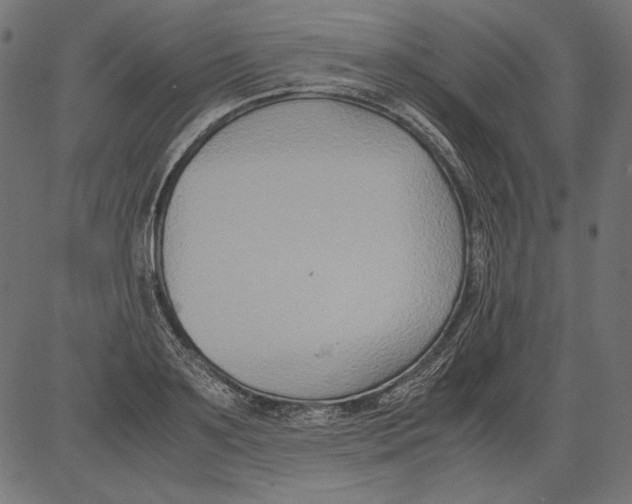 X0000081370891200702020202