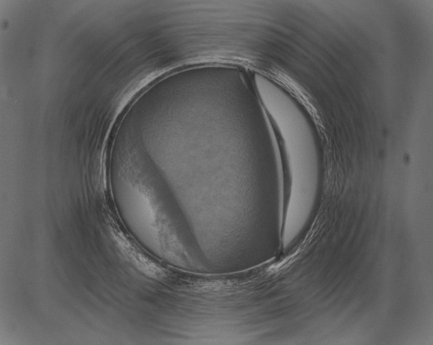 X0000081370892200702020202