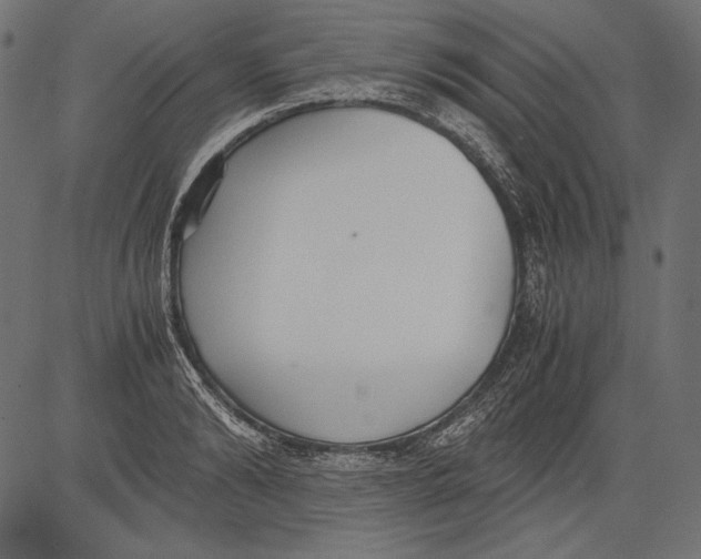 X0000081370894200702020202