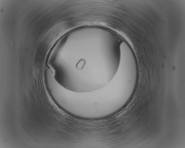 X0000081370895200702020202