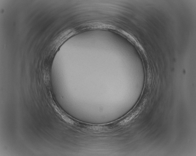 X0000081370897200702020202