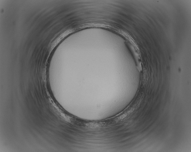 X0000081370898200702020202