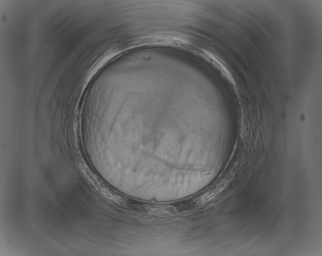 X0000081370899200702020202