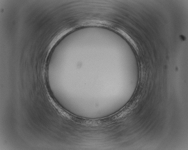 X0000081370901200702020202