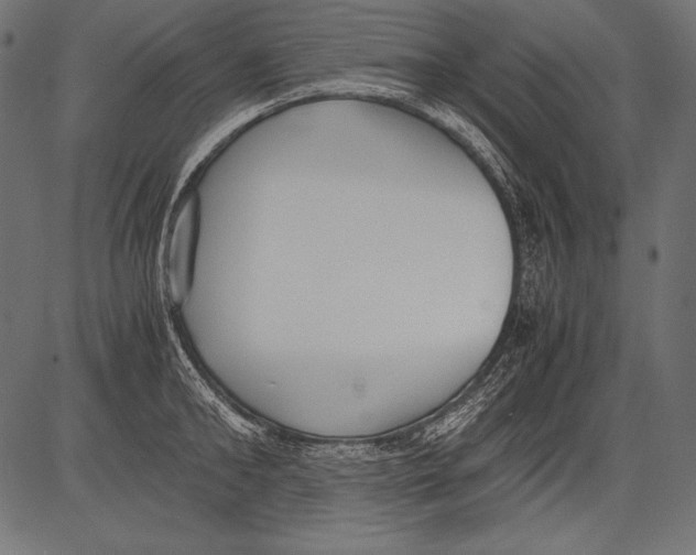 X0000081370902200702020202