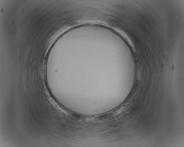 X0000081370903200702020202