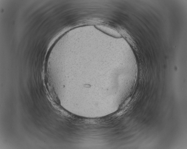 X0000081370904200702020202