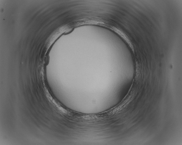 X0000081370906200702020202