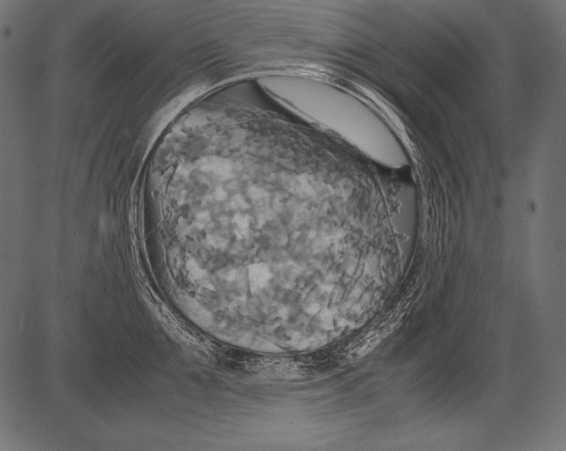 X0000081370907200702020202