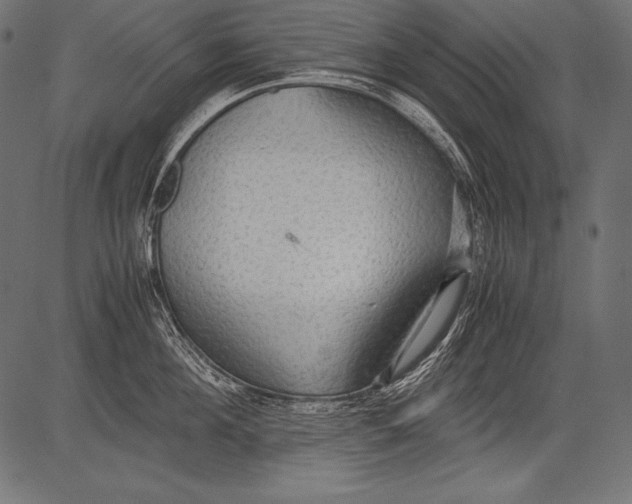 X0000081370908200702020202