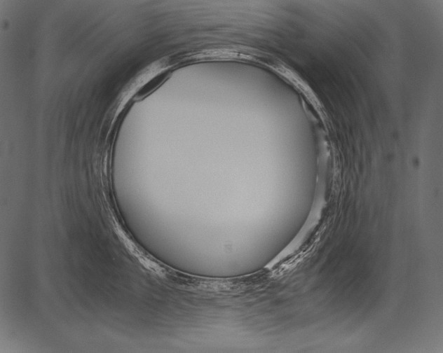 X0000081370909200702020202