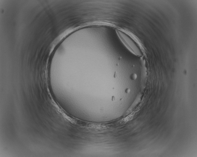 X0000081370910200702020202