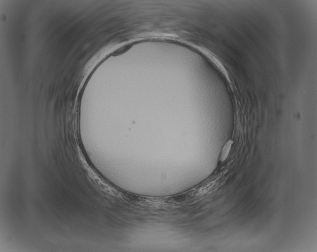 X0000081370911200702020202