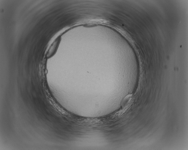 X0000081370912200702020202