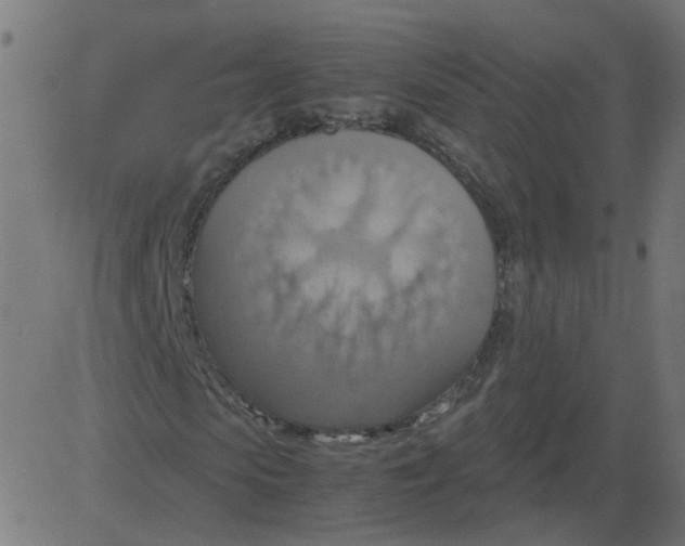 X0000081370913200702020201