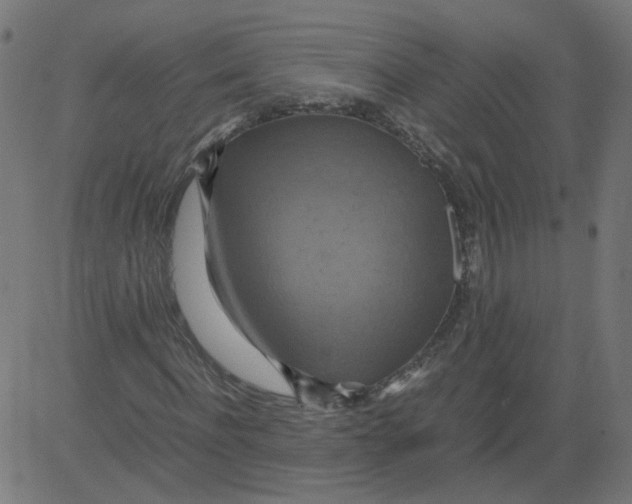 X0000081370916200702020201