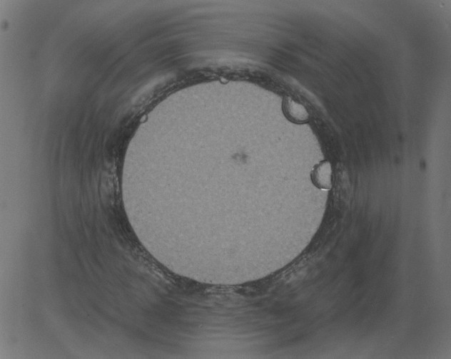 X0000081370918200702020201