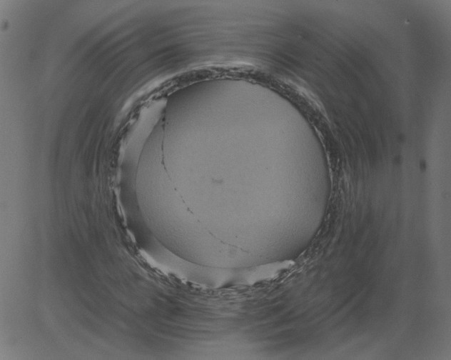 X0000081370920200702020201