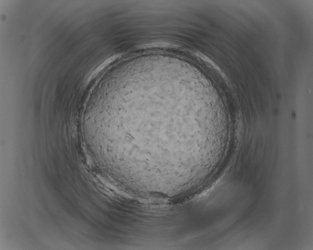 X0000081370921200702020201