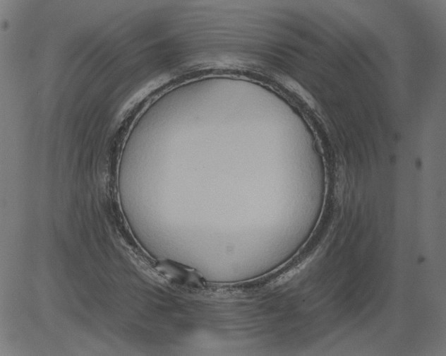 X0000081370922200702020201