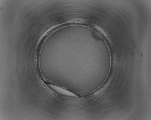 X0000081370923200702020201