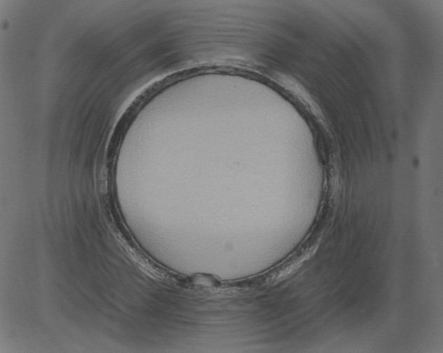 X0000081370924200702020201