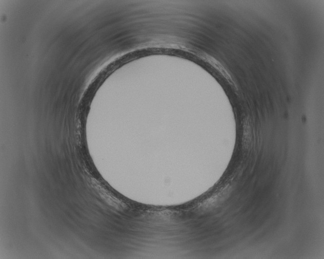 X0000081370926200702020201