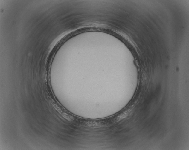 X0000081370927200702020201