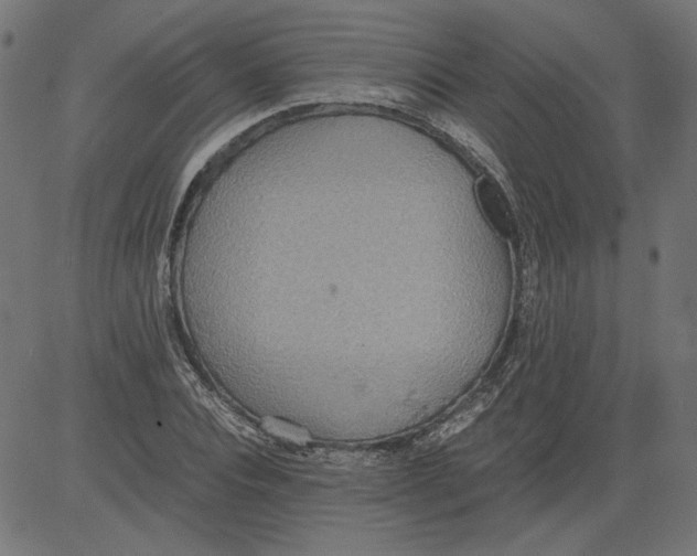 X0000081370928200702020201