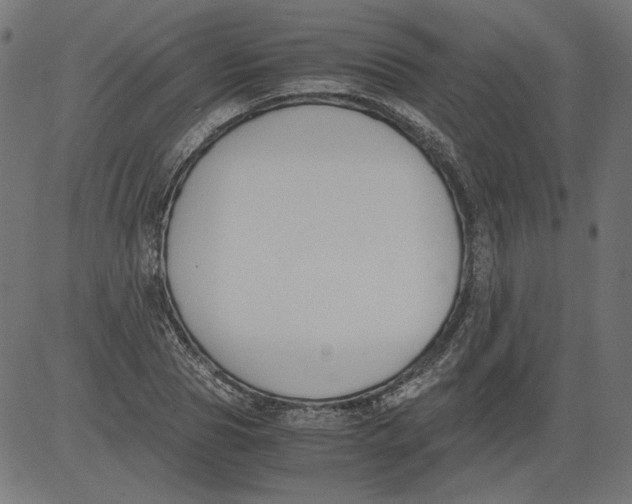 X0000081370929200702020201