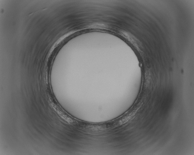 X0000081370931200702020201