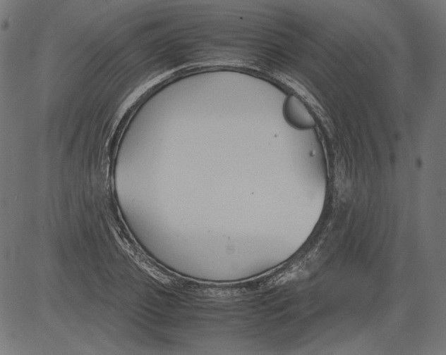 X0000081370933200702020201