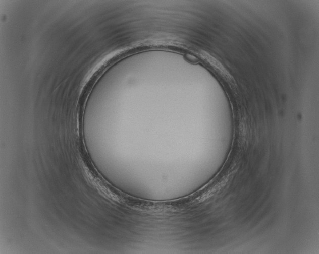 X0000081370934200702020201