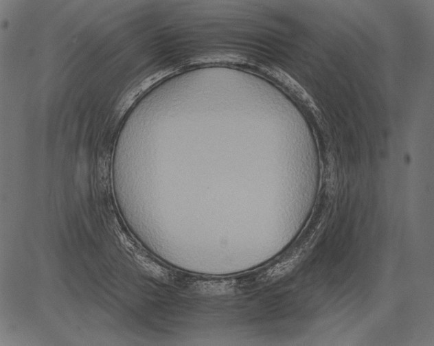 X0000081370937200702020201