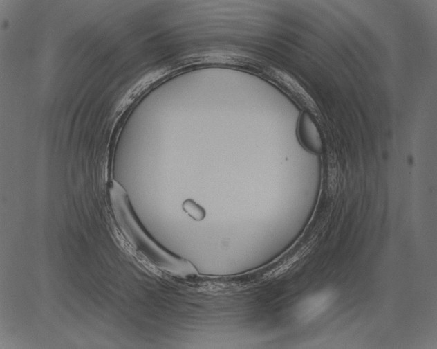 X0000081370938200702020201