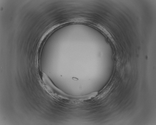 X0000081370939200702020201