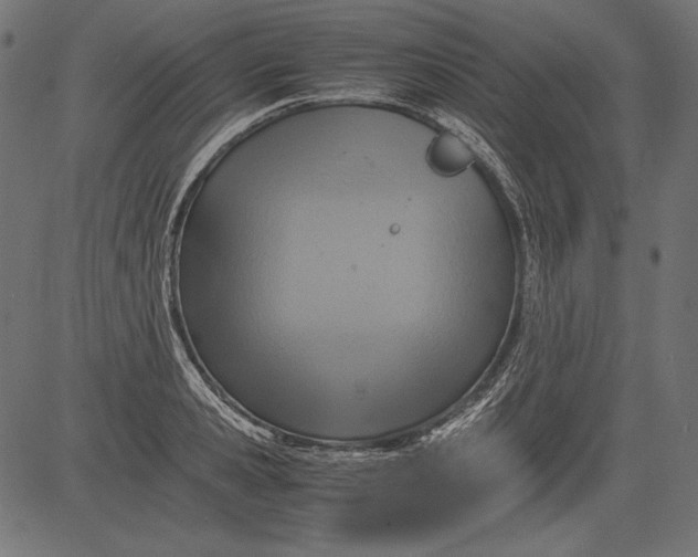 X0000081370941200702020202