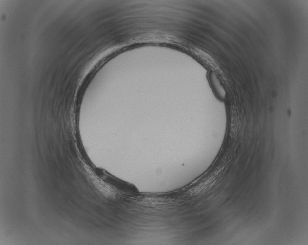 X0000081370942200702020202