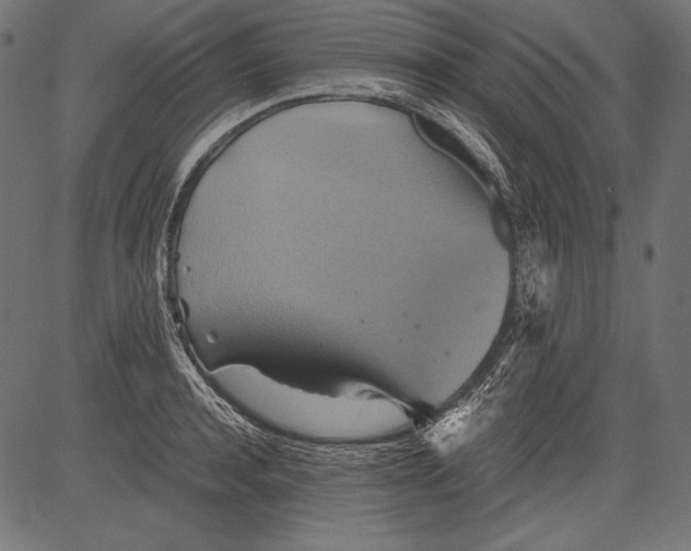 X0000081370944200702020202