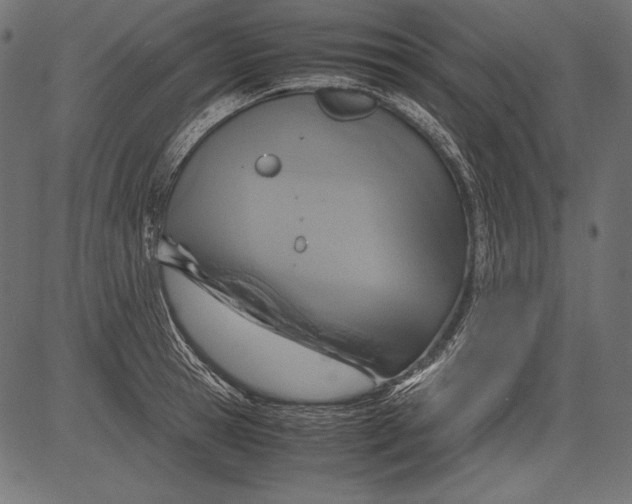 X0000081370945200702020202