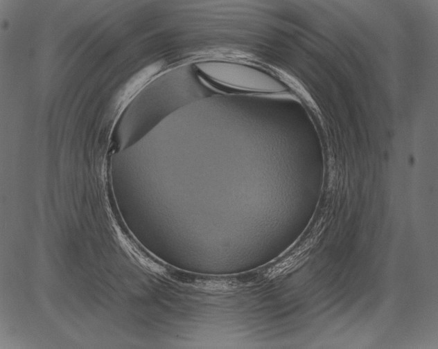 X0000081370946200702020202