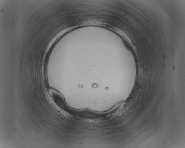 X0000081370947200702020202